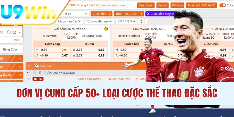 Đơn vị cung cấp 50+ loại cược thể thao đặc sắc